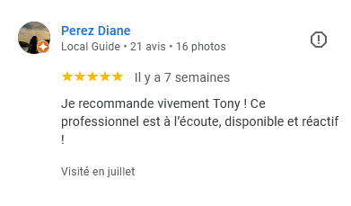 avis positif développeur web wordpress
